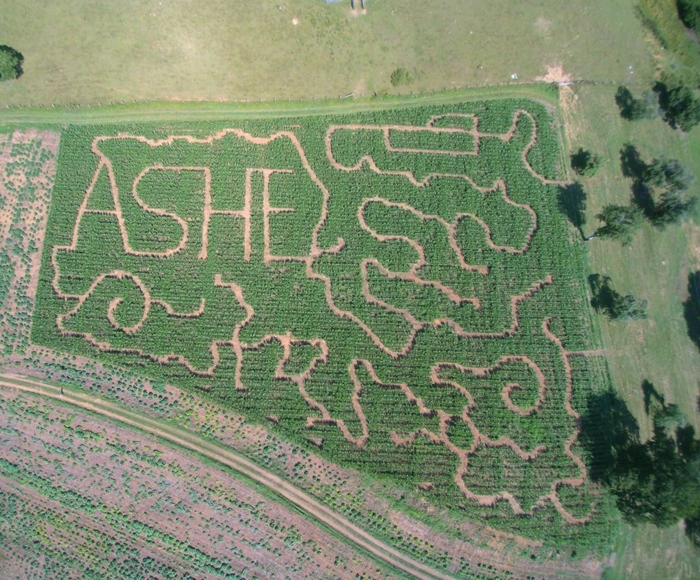 Ashe County North Carolina Corn Maze