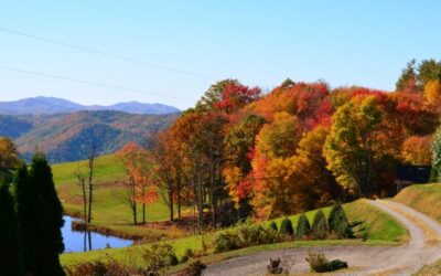 Exploring the Enchanting Autumn in the Blue Ridge Mountains