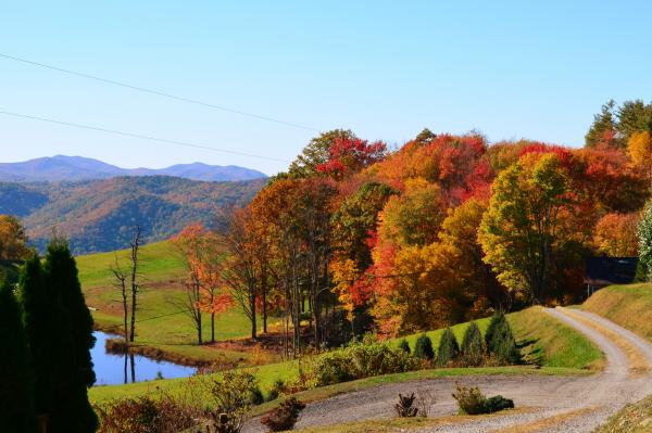 Exploring the Enchanting Autumn in the Blue Ridge Mountains 9
