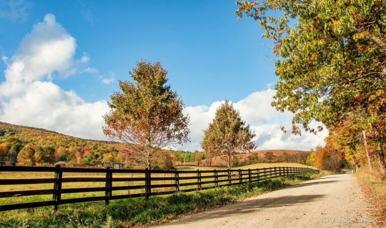 Alleghany County NC Communities Homes for Sale