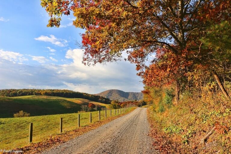 Log Home Buying Checklist NC