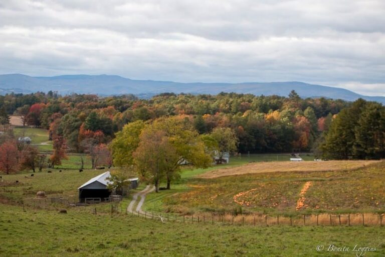 Western NC Acreage Selection