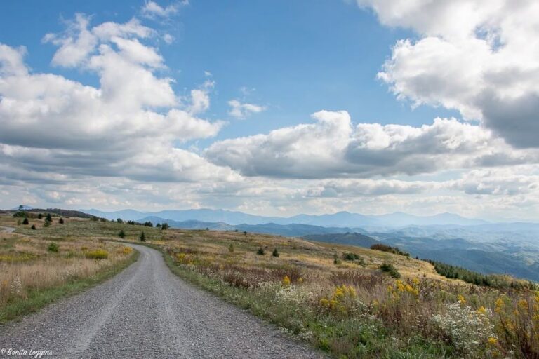 Year-Round Homes for Sale in Ashe County: